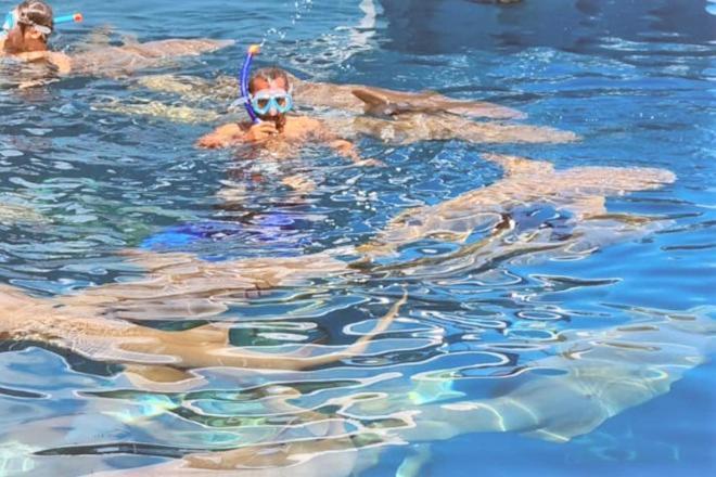 Unwind Dhigurah Hotel Dhigurah  Ngoại thất bức ảnh